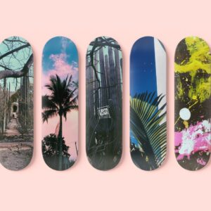 Tropical Skateboard Decals